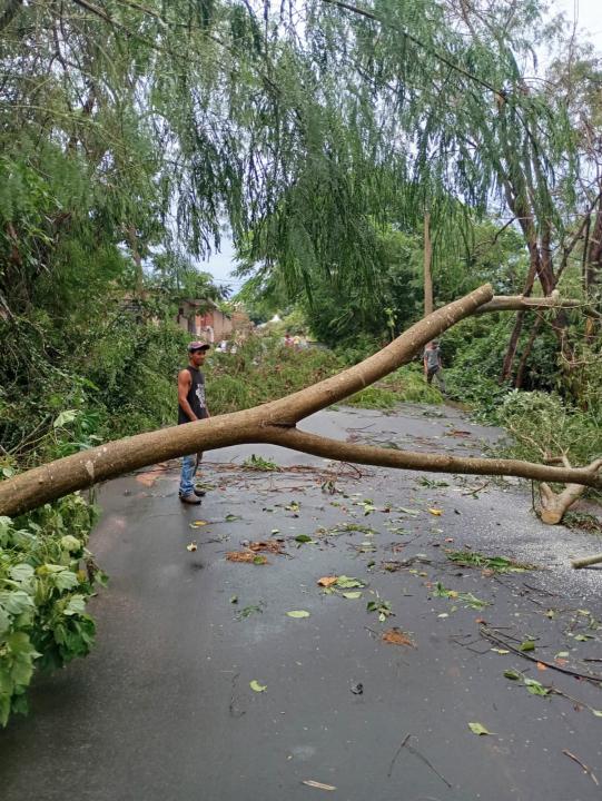 Foto 15 de 40 — Veja fotos do cenário em Boa Esperança do Sul após forte temporal
